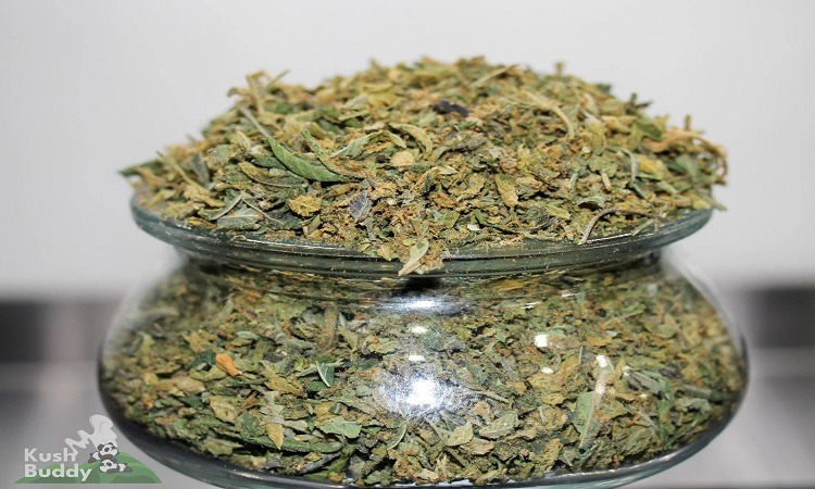 Toronto same day weed delivery