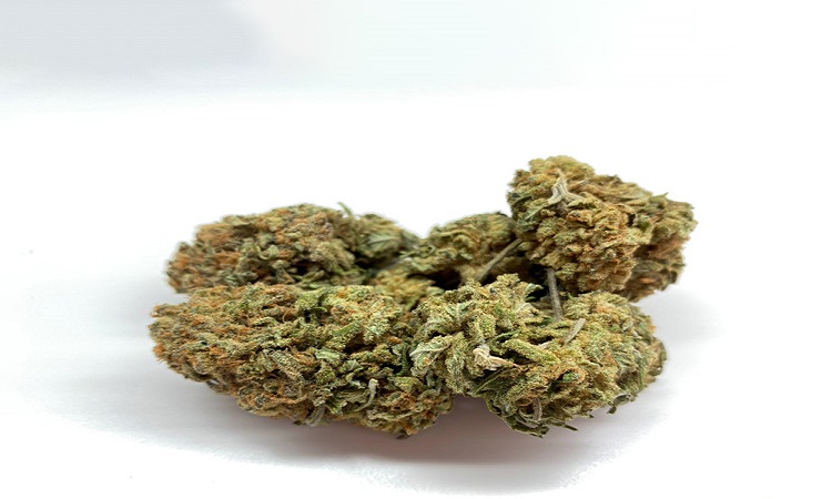 same day weed delivery near me