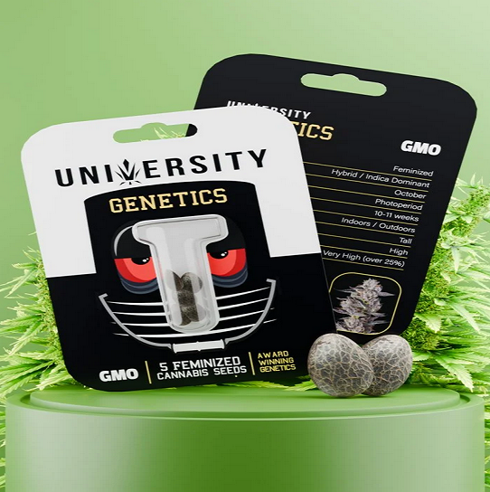 Weed Seeds: What People Usually Want to Know Before They Buy