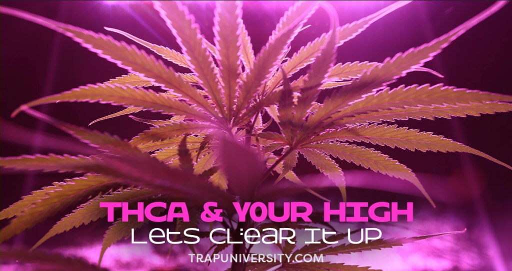 does thca get you high
