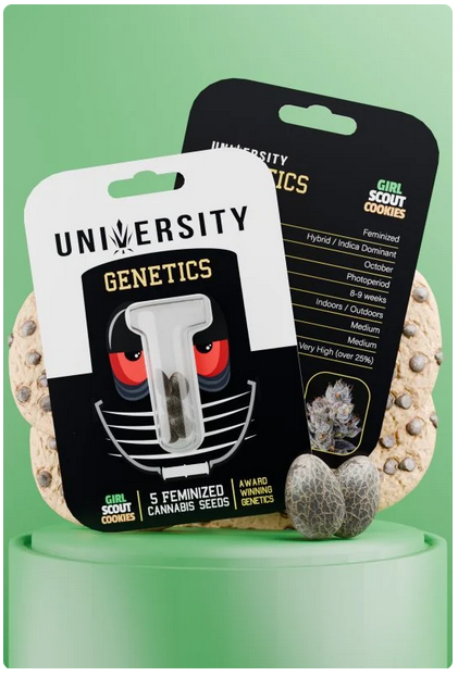 Pot Leaf to Premium Genetics: Why Trap University Is a Smart Place to Start