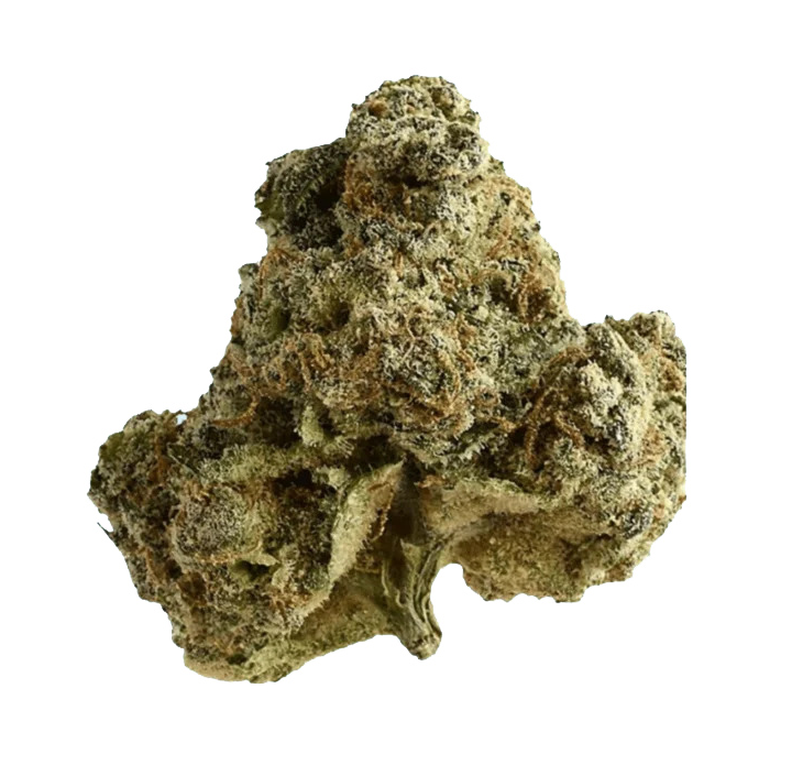 CBD Tinctures: 5 Easy Uses and Why People Choose Mary Janes Bakery Co